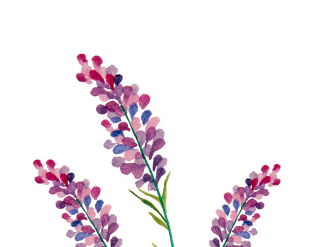 水彩植物花纹装饰绘画素材