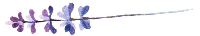 水彩植物树叶绘画素材