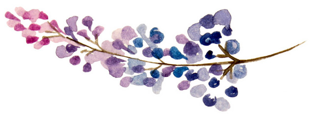 水彩植物花纹装饰绘画素材