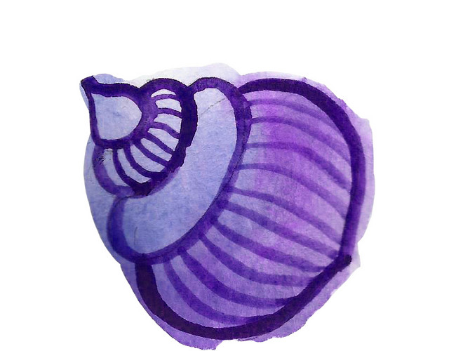 水彩海螺花纹装饰绘画素材