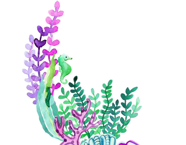 水彩海洋元素花纹装饰绘画素材
