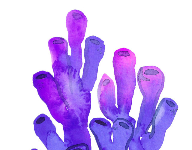 水彩植物花纹装饰绘画素材