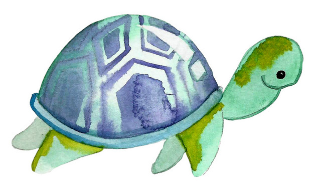 水彩海洋元素花纹装饰绘画素材