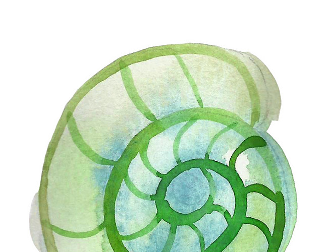 水彩海洋元素花纹装饰绘画素材