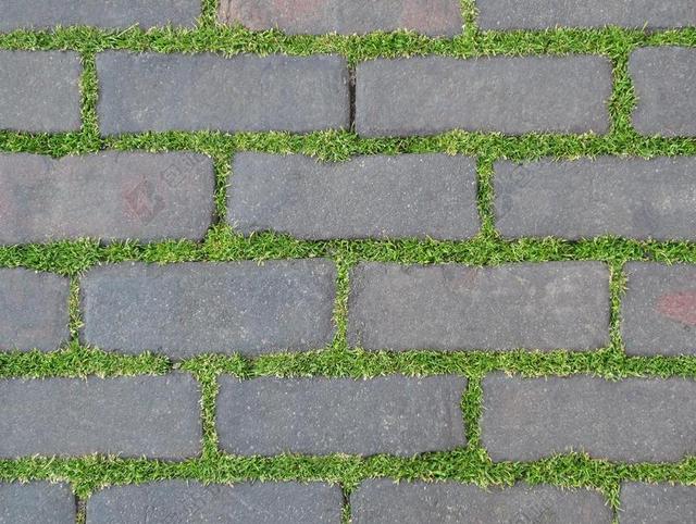 路面 植物 砖 自然 草 绿色 石 地面 环境 生活