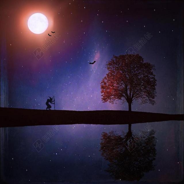 景观 夜 湖 树 性质 月球 天空 明星 女巫 蝙蝠 黑