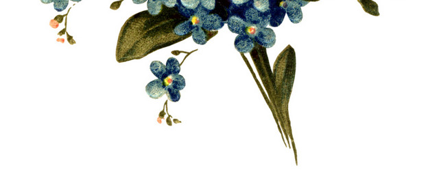 蓝色花束花朵矢量图素材