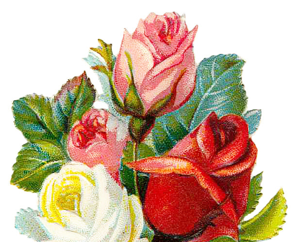 花束花朵矢量图素材