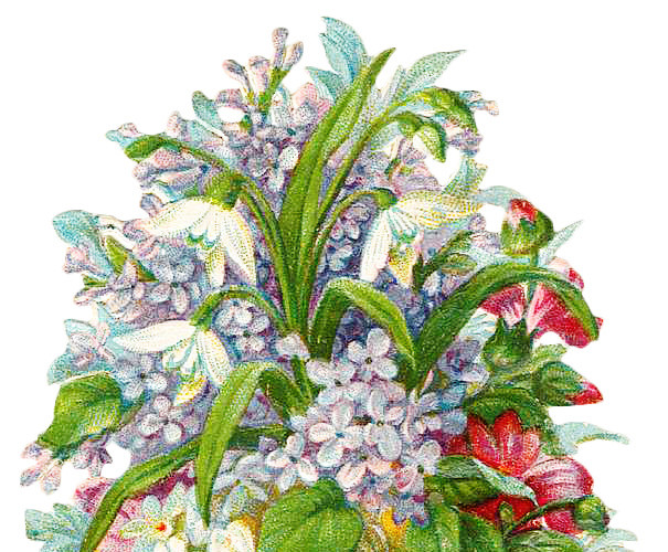 花簇花朵矢量图素材