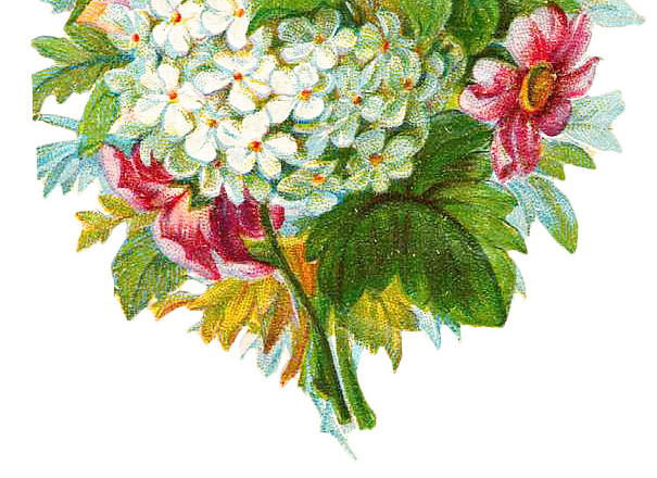 花簇花朵矢量图素材