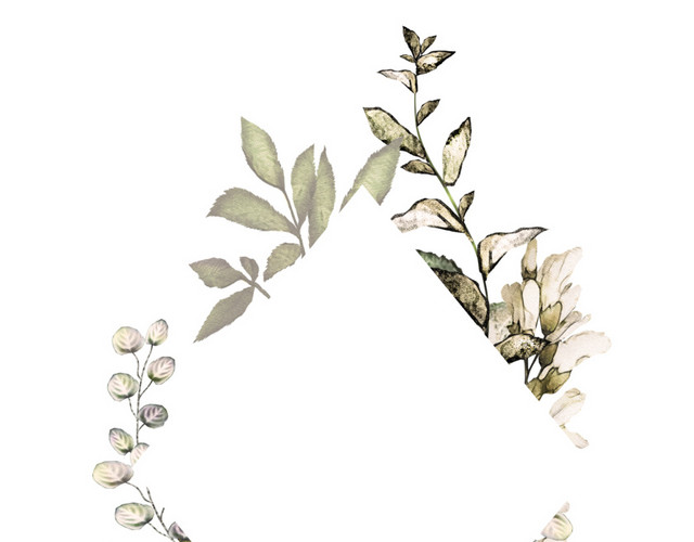 方框枝叶花朵装饰矢量图素材