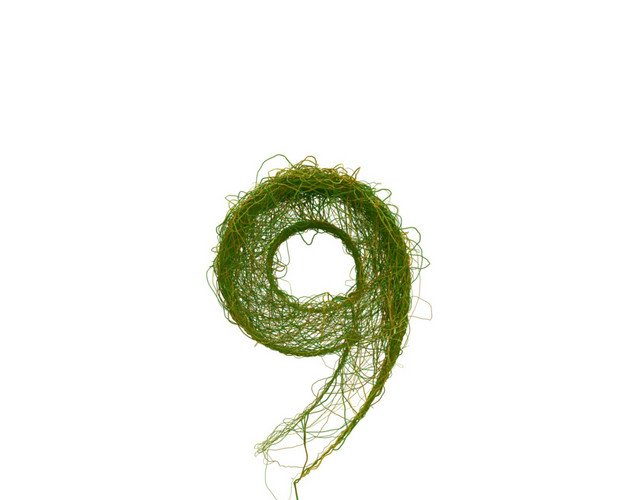创意植物数字素材