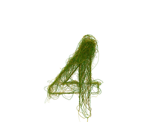 创意植物数字素材