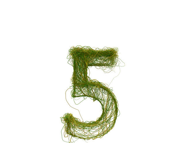 创意植物数字素材