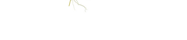创意植物数字素材