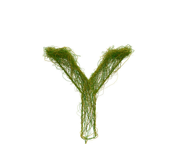 创意植物英文字母素材