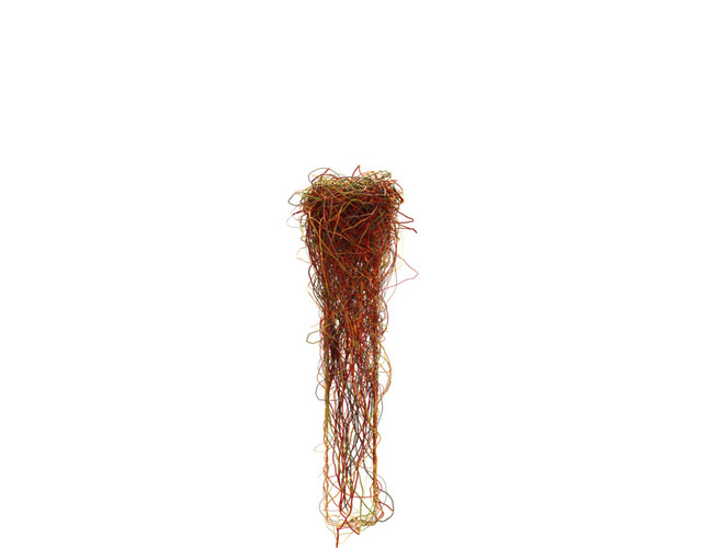 创意植物数字素材