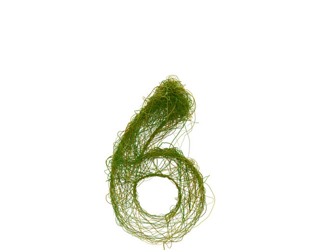 创意植物数字素材
