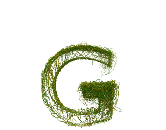 创意植物英文字母素材