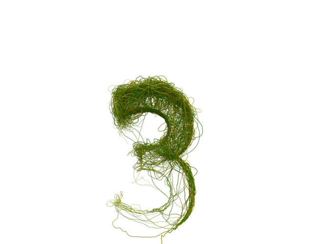 创意植物数字素材