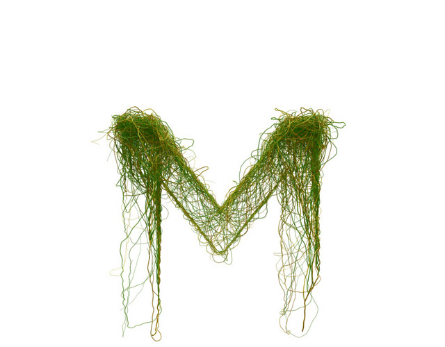 创意植物英文字母素材