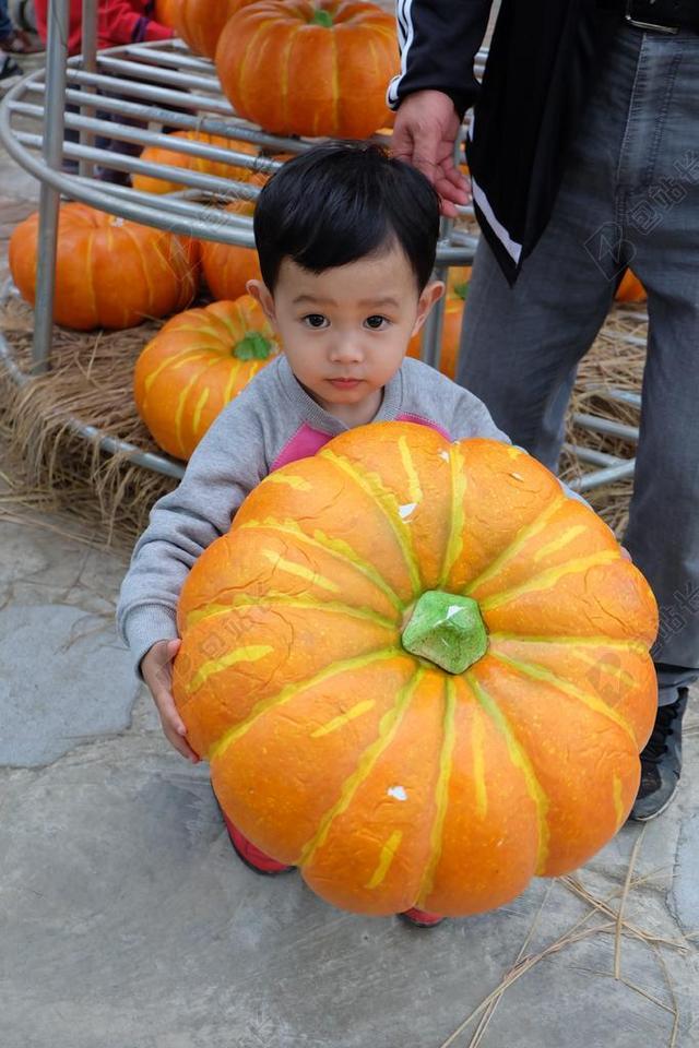 春游 小男孩 孩子 乐园 小孩 花园 可爱