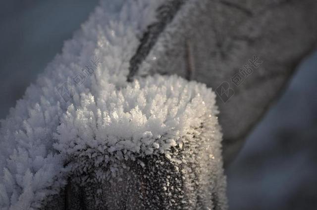 晶体 雪 成熟 篱笆 冬天 冷 性质 白 弗罗斯特 冰
