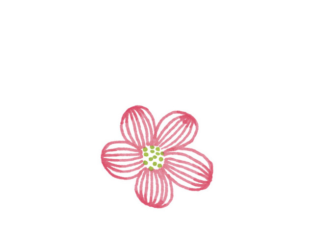 小清新小花
