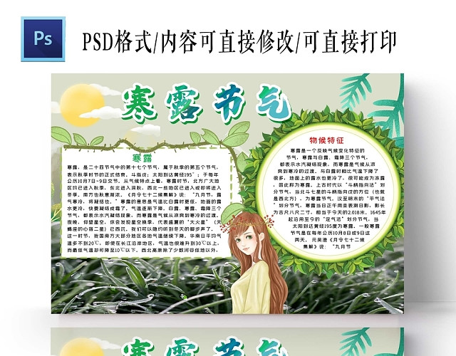 卡通绿色背景寒露节气手抄报