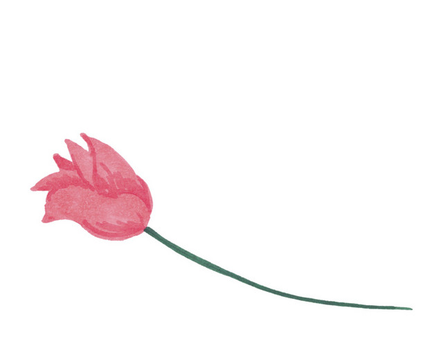 小清新小花