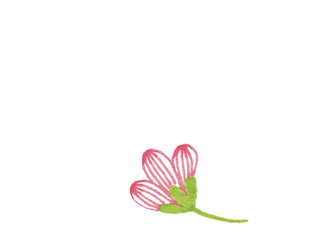 手绘小花