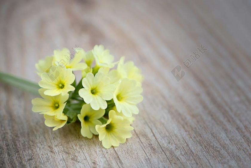 黄绿广告清新黄花宣传背景图片