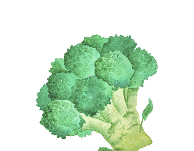 绿色西兰花素材