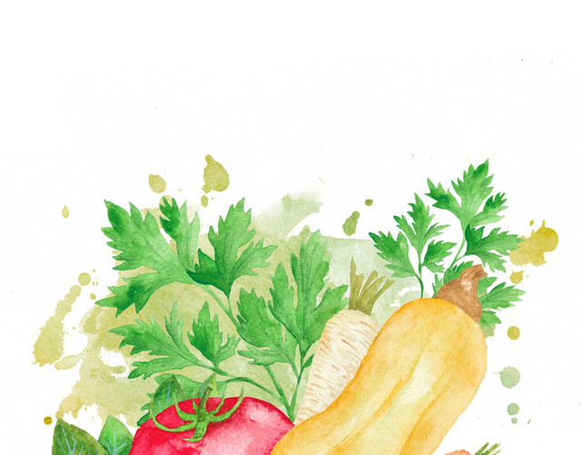 绿色蔬菜素材