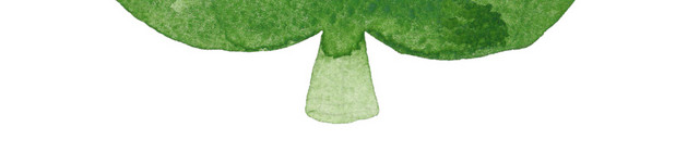 绿色松树素材