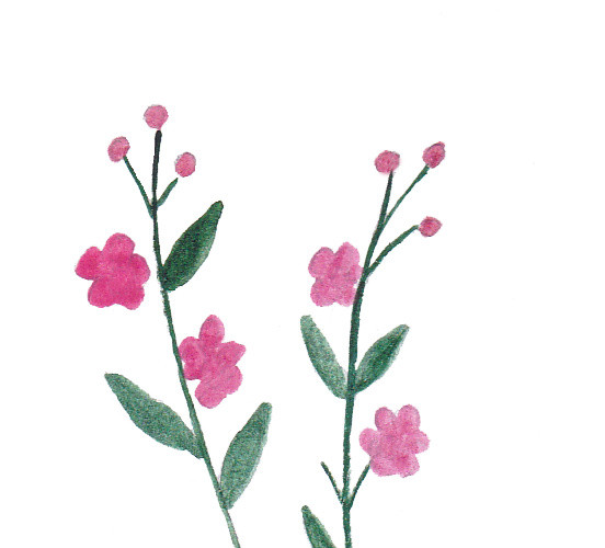 水彩花卉