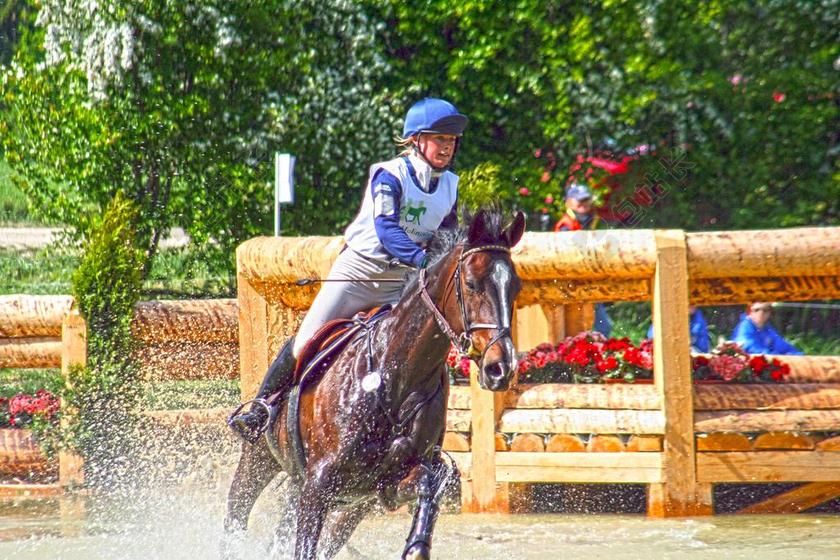 多功能性 骑 多功能性考试 马术 军事骑马 马 障碍 地形