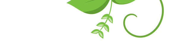 绿叶花朵数字素材