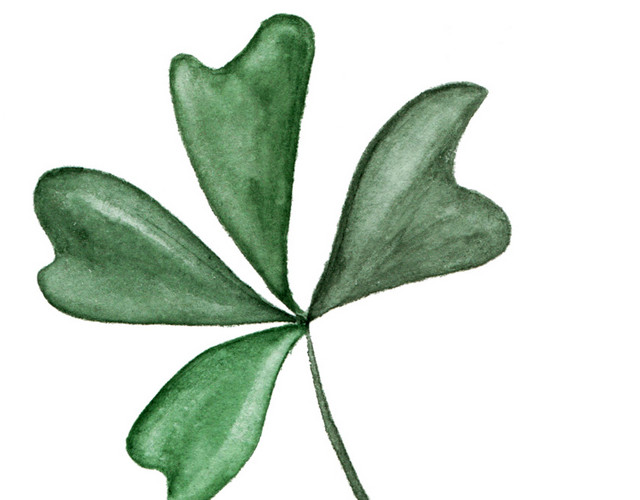 绿色四叶草素材