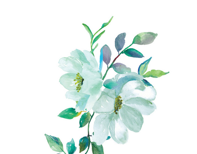 白色手绘花朵素材