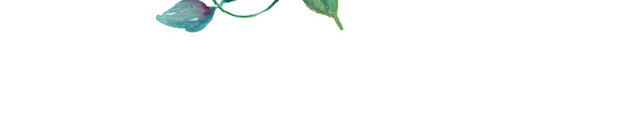 白色手绘花朵素材