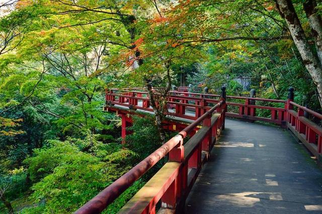 日本 景观 自然 户外 日本观 K 绿色 日本文化 寺