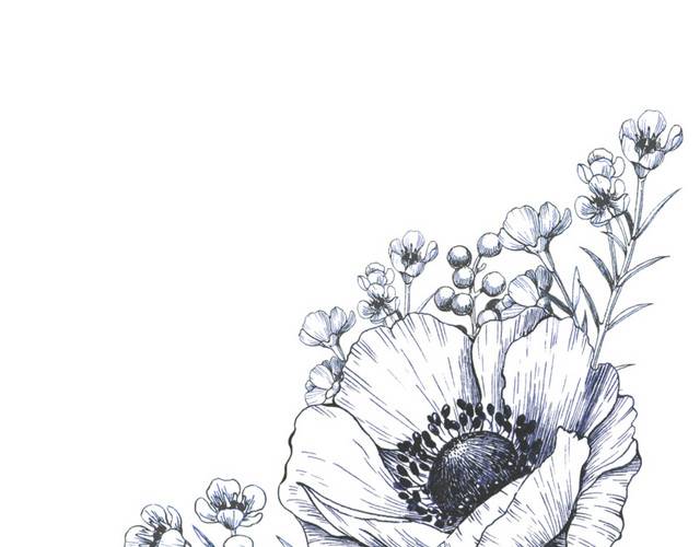 手绘花纹边框