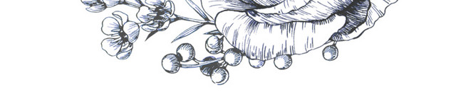 手绘花纹边框