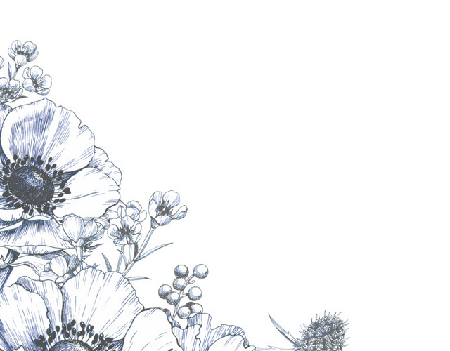 素描花边