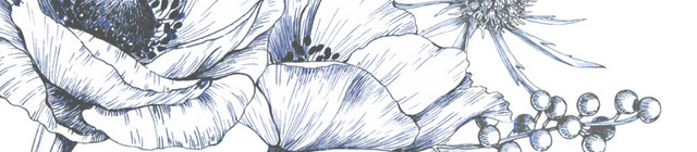 素描花边