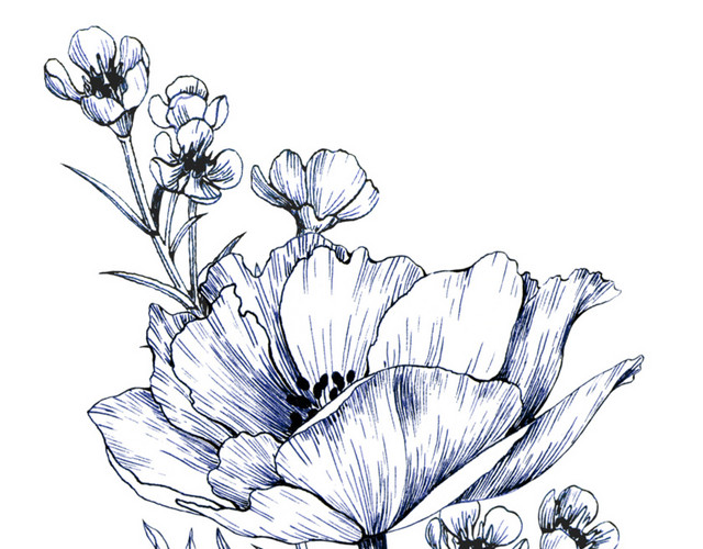 素描植物