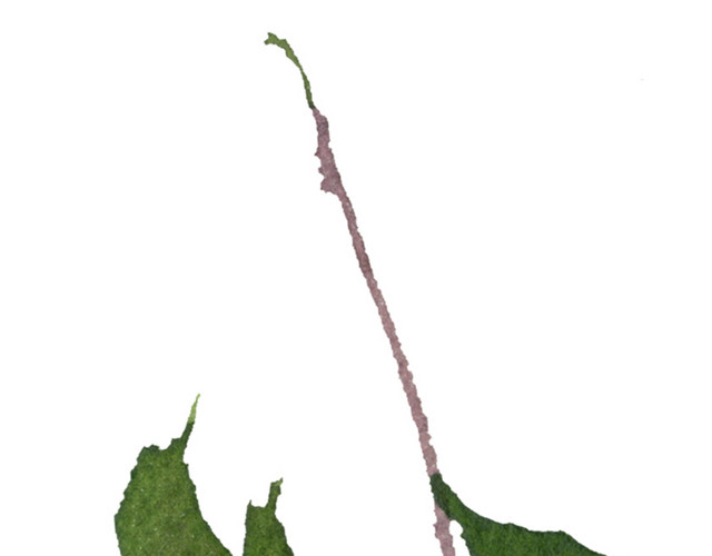 手绘花草素材矢量素材