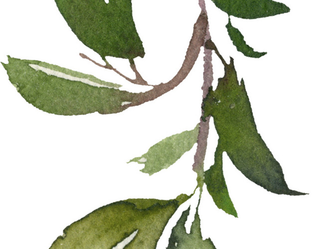 手绘花草素材矢量素材