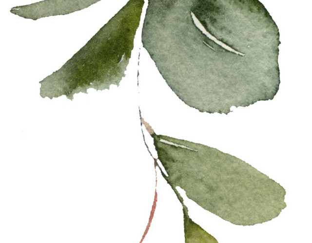 小清新手绘叶子矢量素材